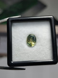 Zafiro (Corindón) Colombiano 1,30 cts